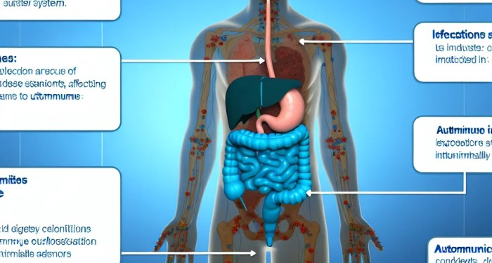 Digestive Autoimmune Conditions Guide – GutNow