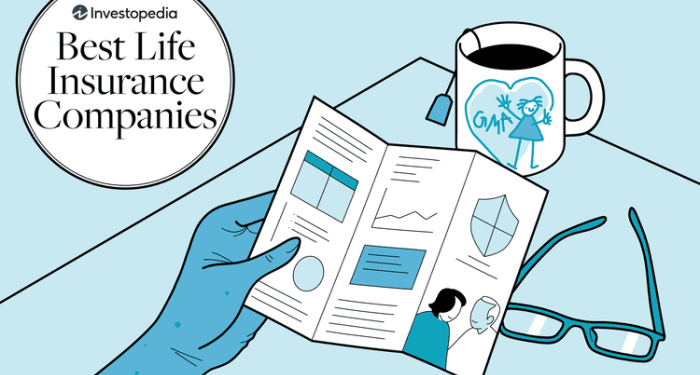 Best Life Insurance Companies for People Over 50