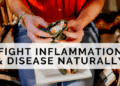 Fight Inflammation and Disease Naturally – Alchemy – Holistic Nutrition ...
