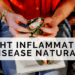 Fight Inflammation and Disease Naturally – Alchemy – Holistic Nutrition ...