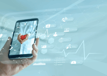 Digital Health Innovations for Chronic Disease Sufferers ...