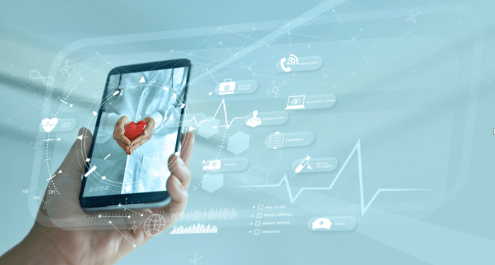 Digital Health Innovations for Chronic Disease Sufferers ...