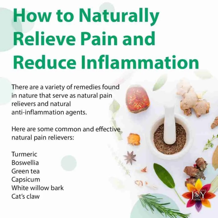 Relieve Pain and Reduce Inflammation Naturally - Dr. Diana Joy Ostroff